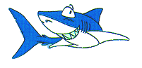 Cute Shark
